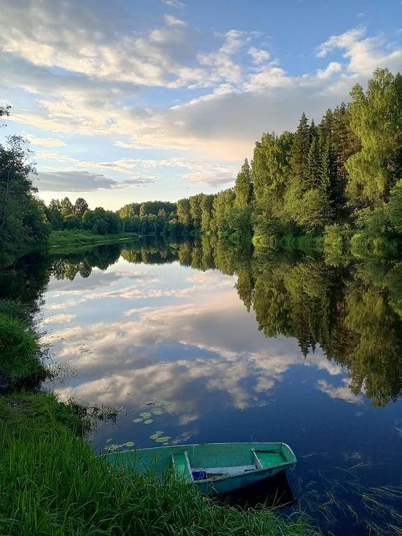 Фото из отзыва от 15.06.2026