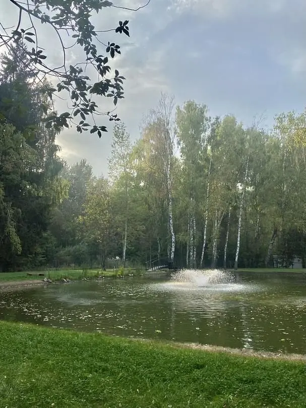 Уютный домик в лесу у пруда , Московская область: фото 2