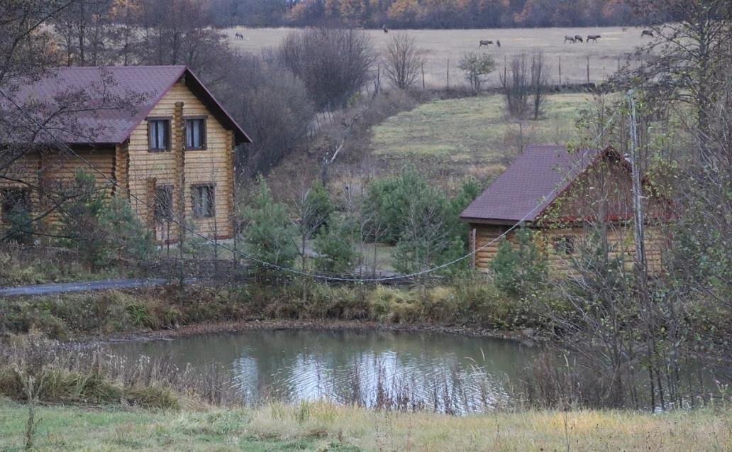 Лесная Слобода, Республика Мордовия: фото 4