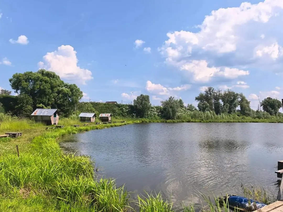 Платная рыбалка на пруду в Подмосковье — Рыболовная база «Место Клёва», Чеховский