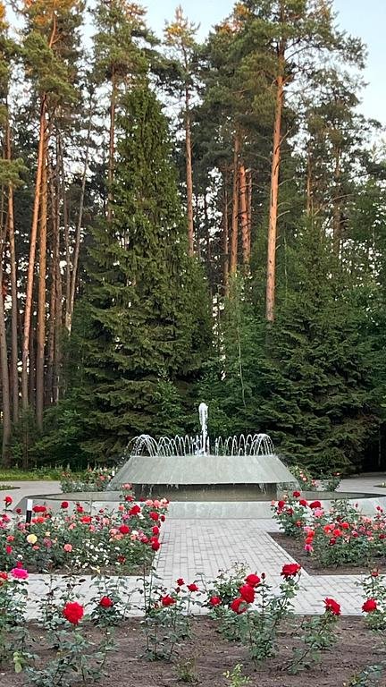 Фото из отзыва от 27.06.2026