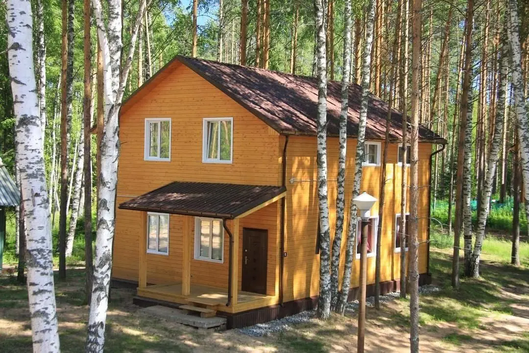 Дача Липенка, Вологодская область: фото 3