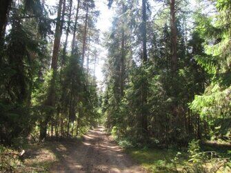 Окресности