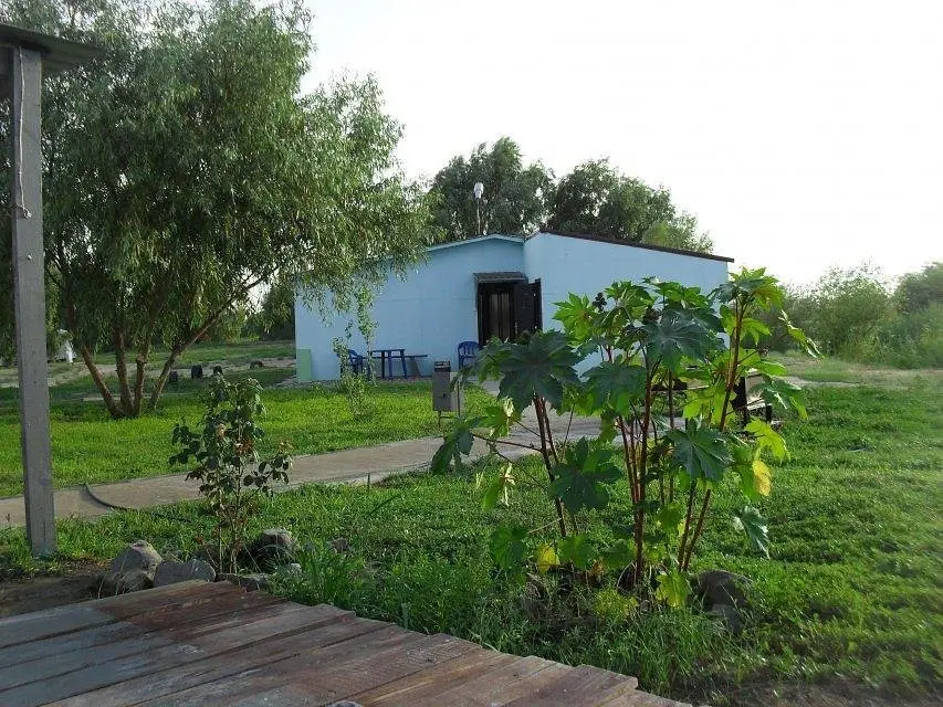 База отдыха Волчок, Камызякский район, Астраханская область