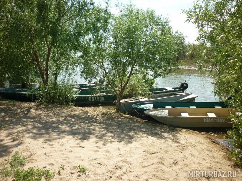 Турбаза у палыча в тельме усольский район фото