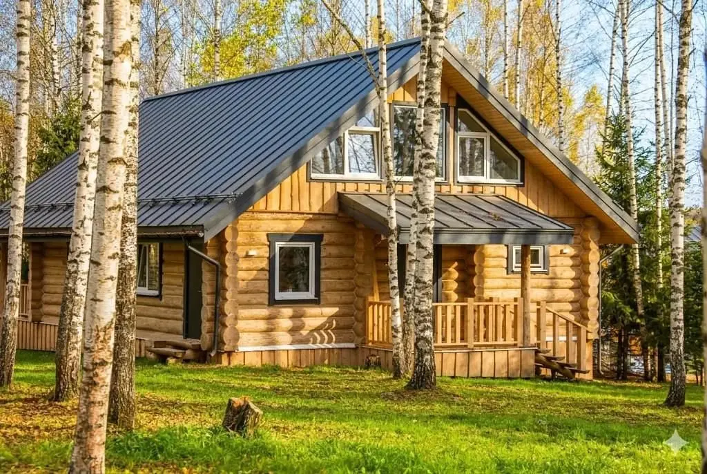 Усадьба скульптора Эрьзи, Московская область: фото 2
