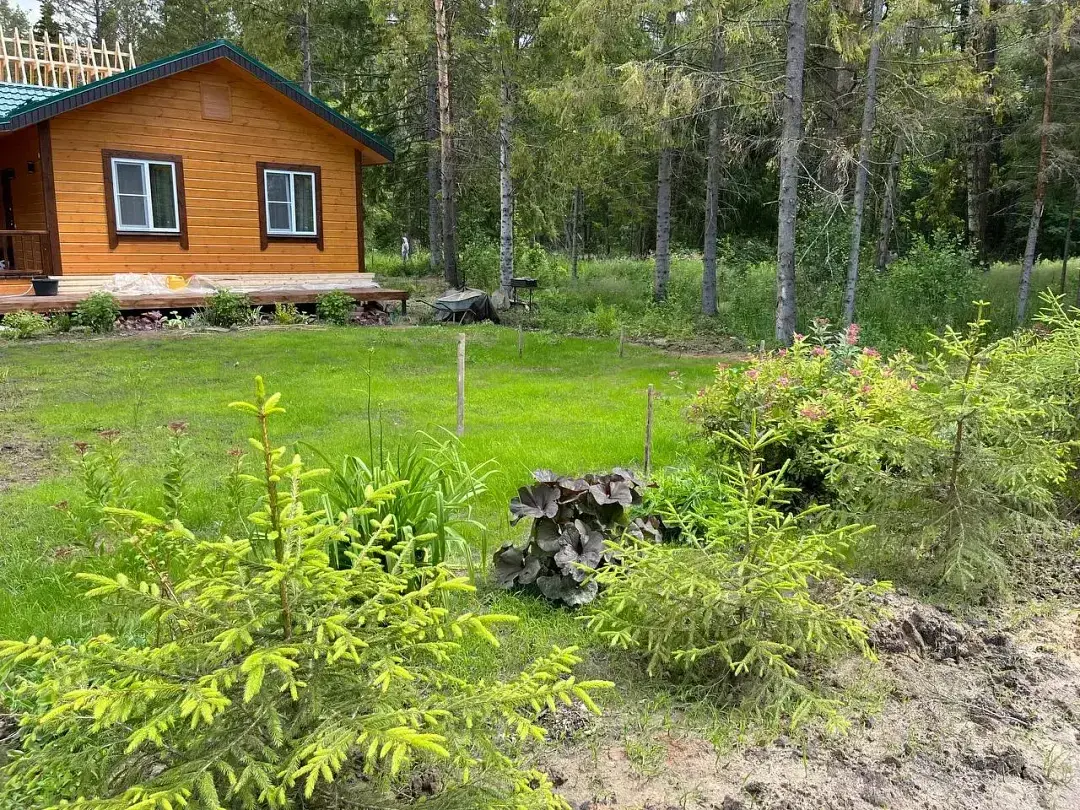Дом на берегу, Нижегородская область: фото 4