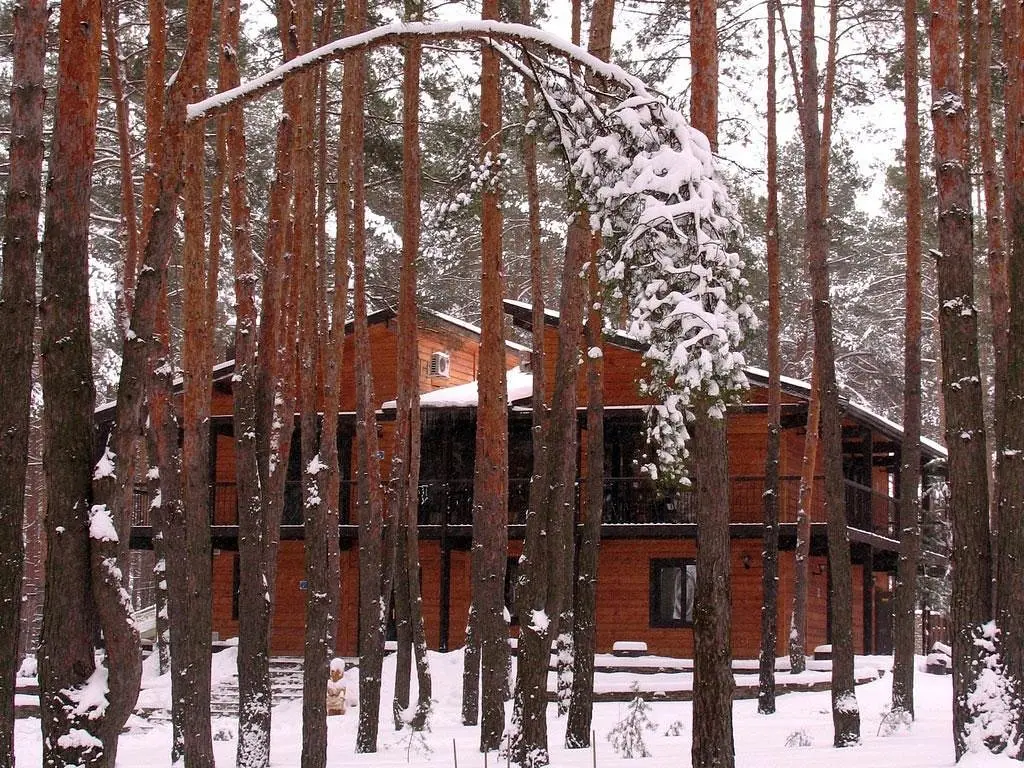 Кафе | Аркадия, Белгородская область