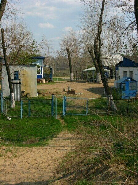 Турбаза на волге краснослободск