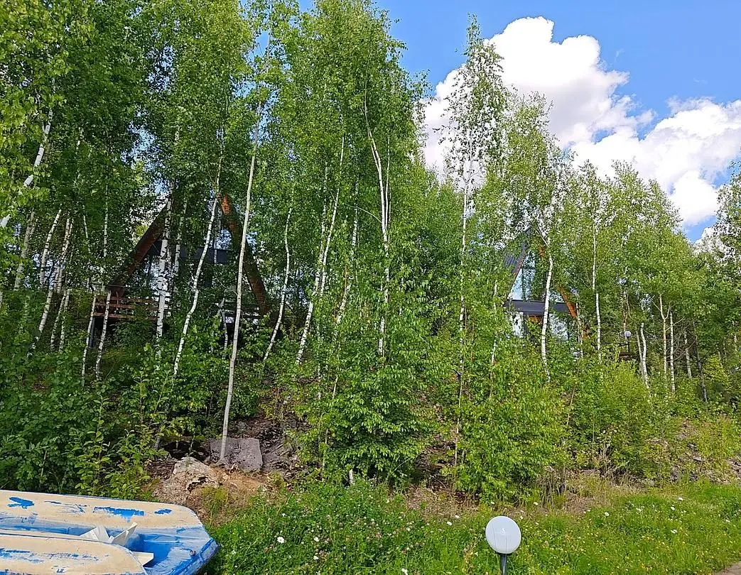 Фото 6 из отзыва о парк-отеле Некрасово