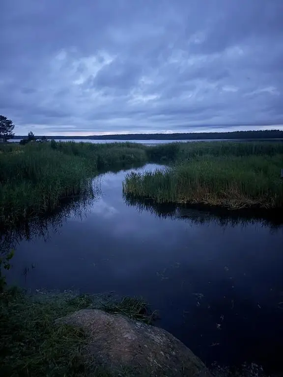 Частный дом Красивый домик на берегу моря, Ленинградская область: фото 4