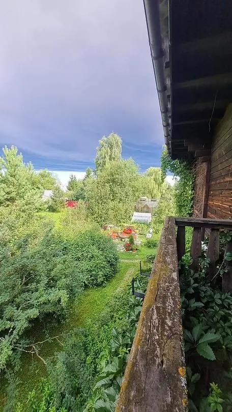 Сад — Гостевой дом «Dream Village», Чеховский
