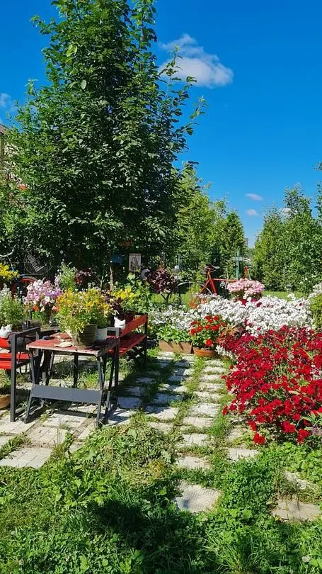 Сад — Гостевой дом «Dream Village», Чеховский