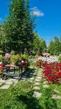 Сад — Гостевой дом «Dream Village», Чеховский
