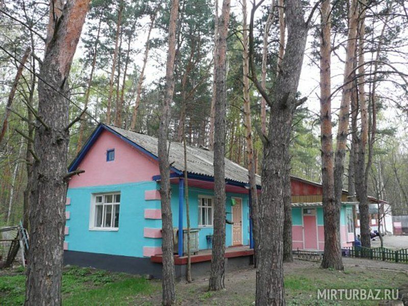 База отдыха тихий. Тихий Дон турбаза Задонск. Тихий Дон база отдыха Липецк. База тихий Дон Липецкая область. Турбаза тихий Дон Липецкая область.