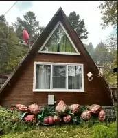 Семейный коттедж с видом на горы, Кемпинг База отдыха Байкальский Край, поселок Листвянка
