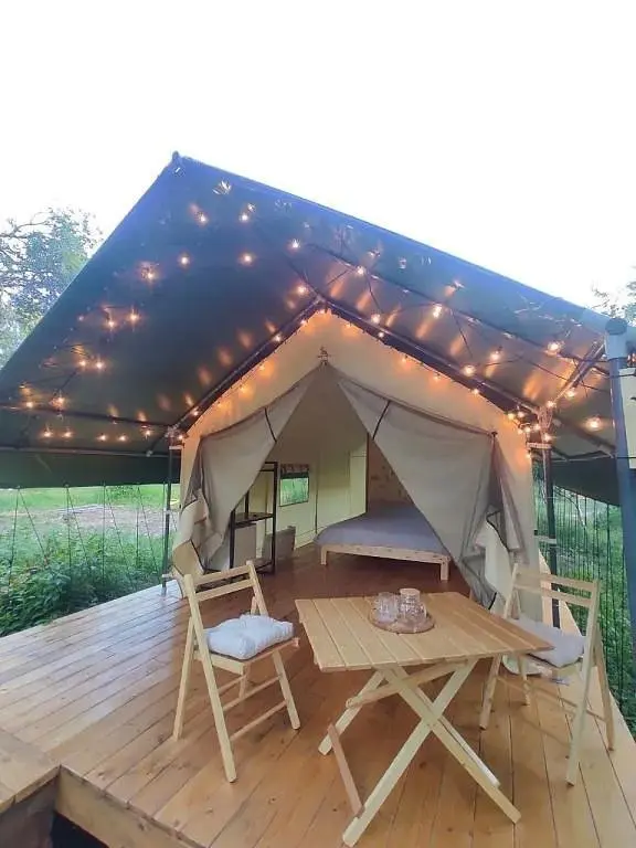 Bars glamp, село Узнезя, Горный Алтай (Республика Алтай)