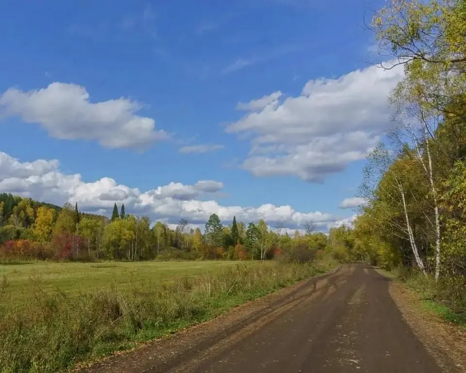 База отдыха Вольный Ветер, Горный Алтай (Республика Алтай): фото 4