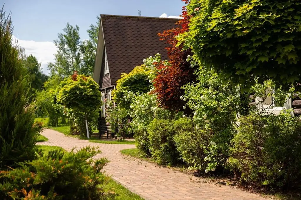 База отдыха Премудрый карась, Калужская область: фото 4