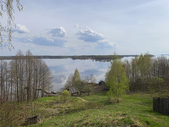 Волошново, Костромская область: фото 5