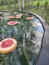 Украшение в бочку — Глэмпинг «Domingo Dacha A-Frame», Серпухов