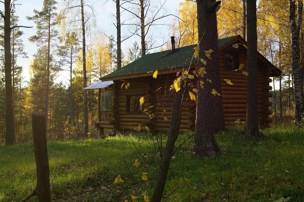 Берлога, Республика Карелия: фото 3