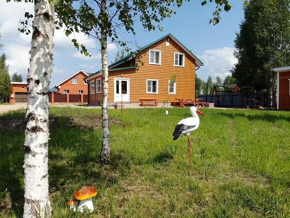 У озера, Тверская область: фото 3
