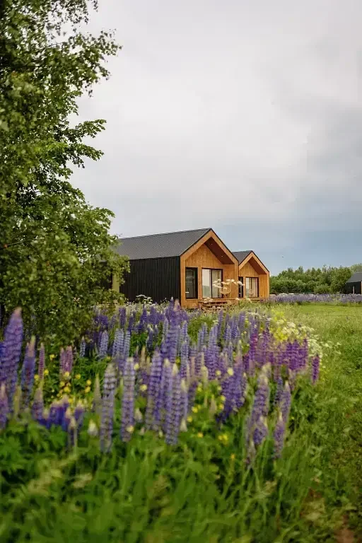 Петра Эко Деревня (Petra Eco Village), Владимирская область, Александров 