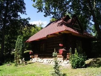 Гостевой дом Домик в лесу