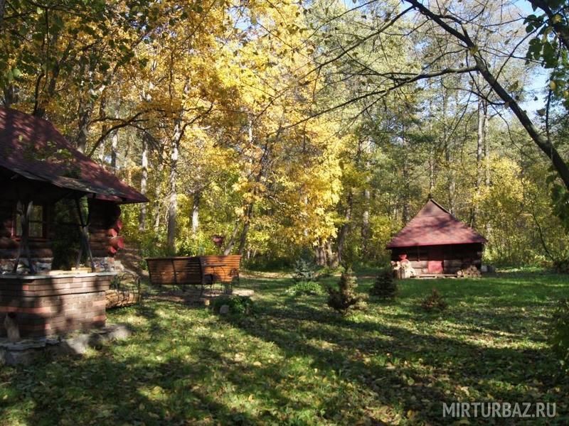 Домик в лесу, Пензенская область: фото 2
