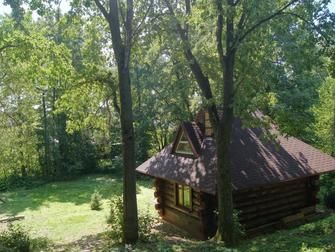 Домик в лесу, Пензенская область: фото 4