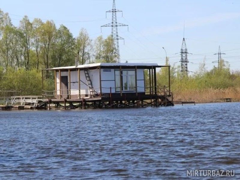 Озеро Медвежье, Новосибирская область: фото 3