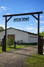 Верховая езда / Конные прогулки — Глэмпинг «Domingo Dacha A-Frame», Серпухов