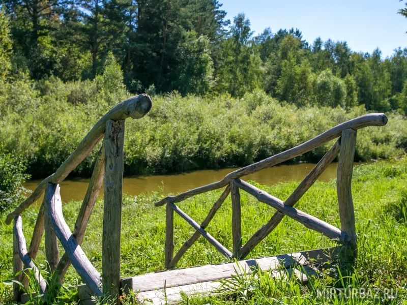 Чайка барнаул парк отель фото