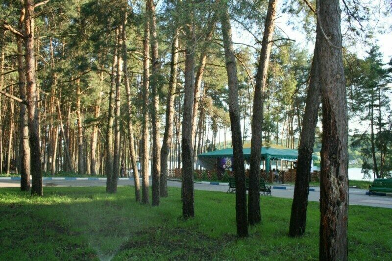 Поселок разумное белгородской области фото