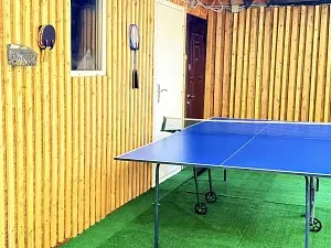 Настольный теннис — Коттедж «VillaDoni», Гатчинский район