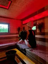 Баня — Дома в аренду «Коттедж Лесной», поселок Шапки