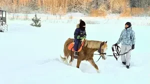 Верховая езда / Конные прогулки — База отдыха «Шахматово Вилладж», Солнечногорский район