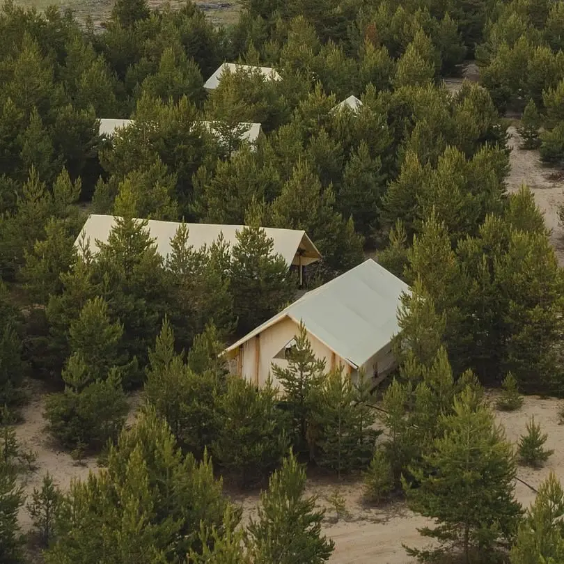 Номер Сафари-тент 2-местный 1-комнатный (24 кв.м, с террасой)