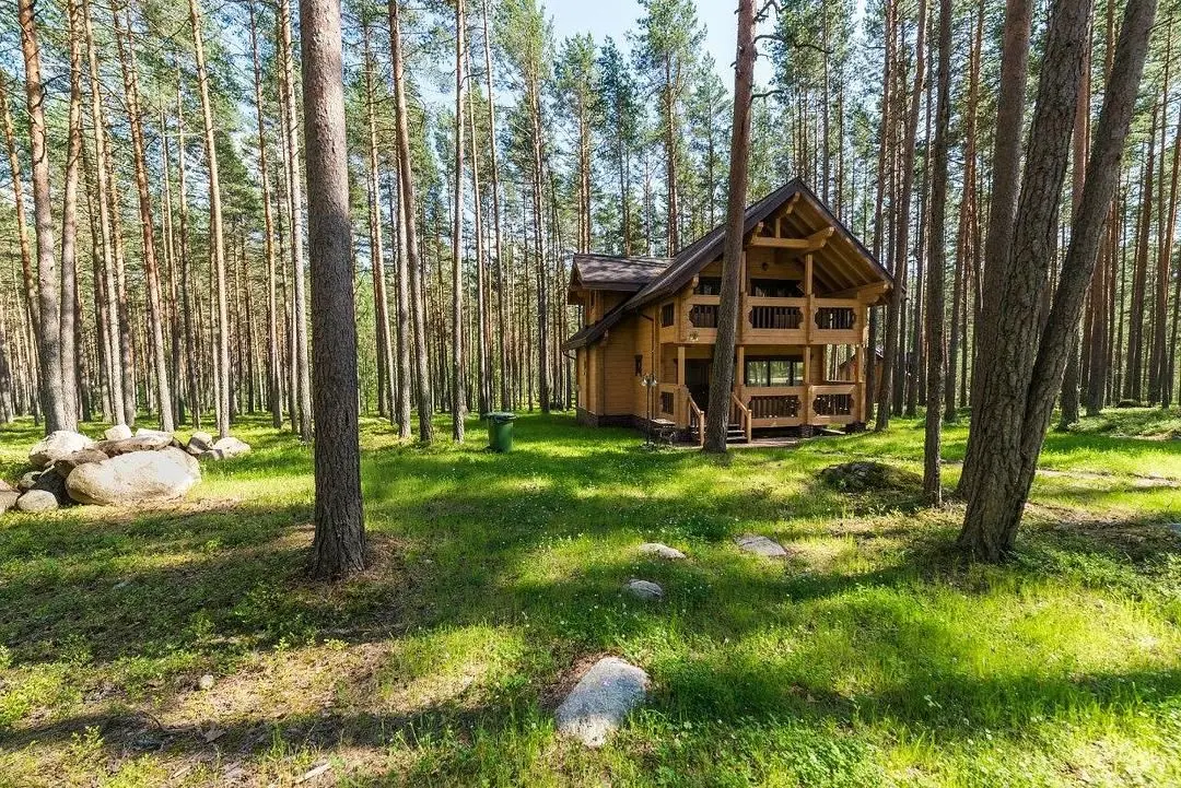 База отдыха Тихий берег, деревня Овраги, Ленинградская область