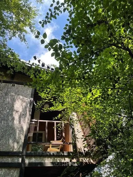 638573541409601662-95d1507d-0071-4de3-9346-8fc173610d22_результат