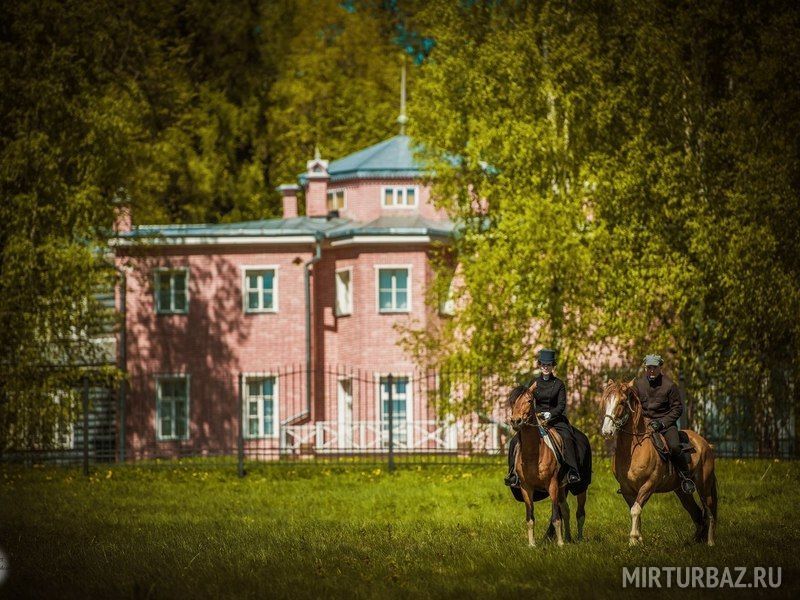 Питомник храброво дмитровский