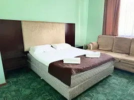 Семейный двухкомнатный номер с двуспальной кроватью и диваном в одной комнате и две односпальные кровати в другой комнате, Гостевой дом Алия, станица Даховская