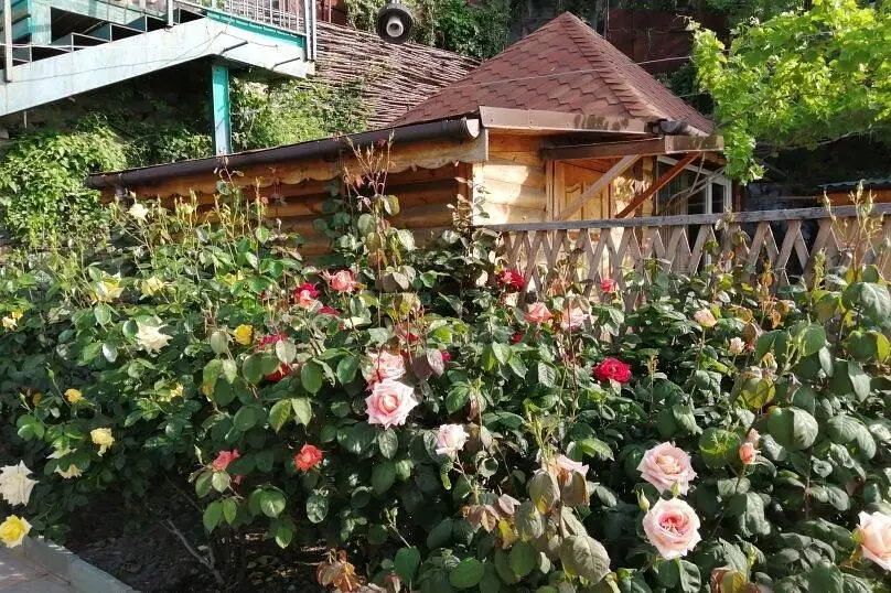 Территория | Cat (Партенит), Крым