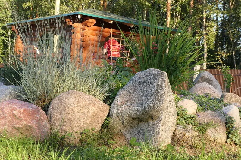 Приозерский Страус, Ленинградская область: фото 5