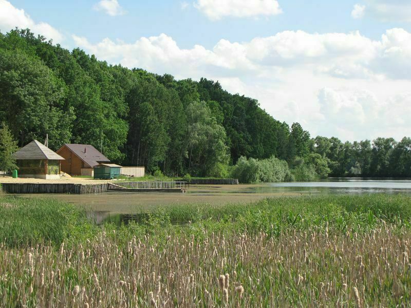 Ближняя игуменка белгородская область фото