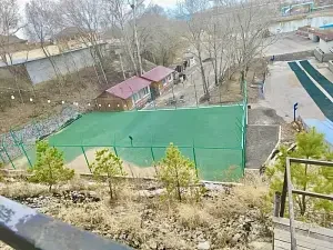 Футбол — Дома в аренду «Дом Фламинго», Хабаровск