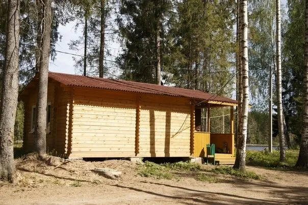 Лужская лилия, Ленинградская область: фото 3