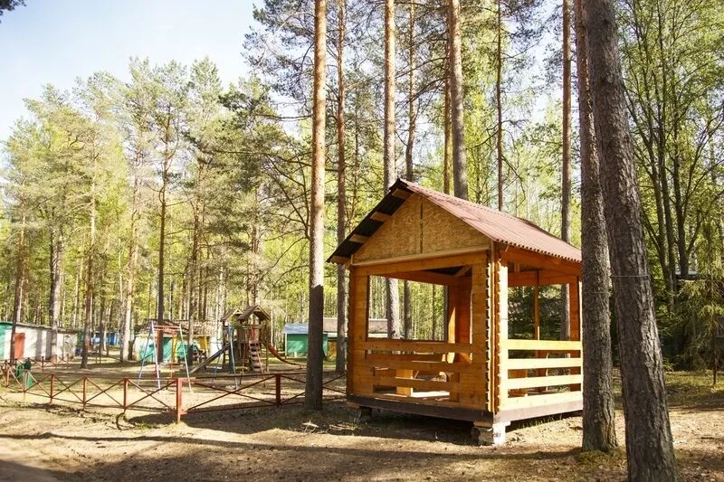 Лужская лилия, Ленинградская область: фото 5