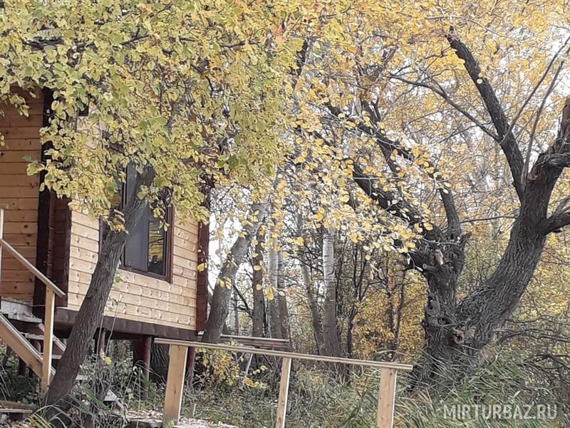 Село антиповка камышинский район волгоградская область фото